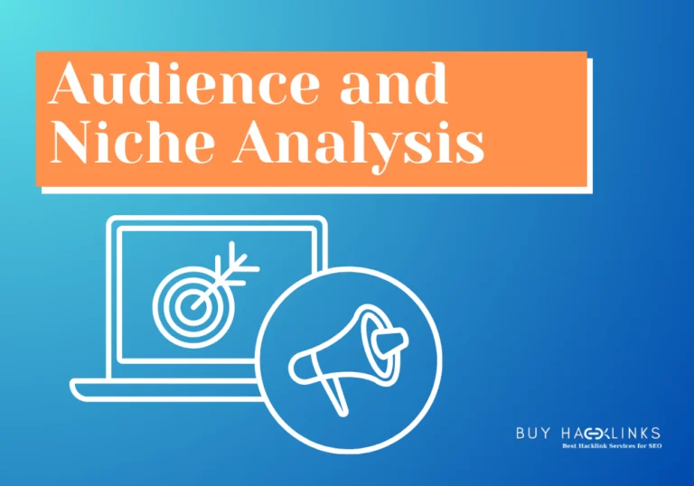 backlink-audience-and-niche-analysis